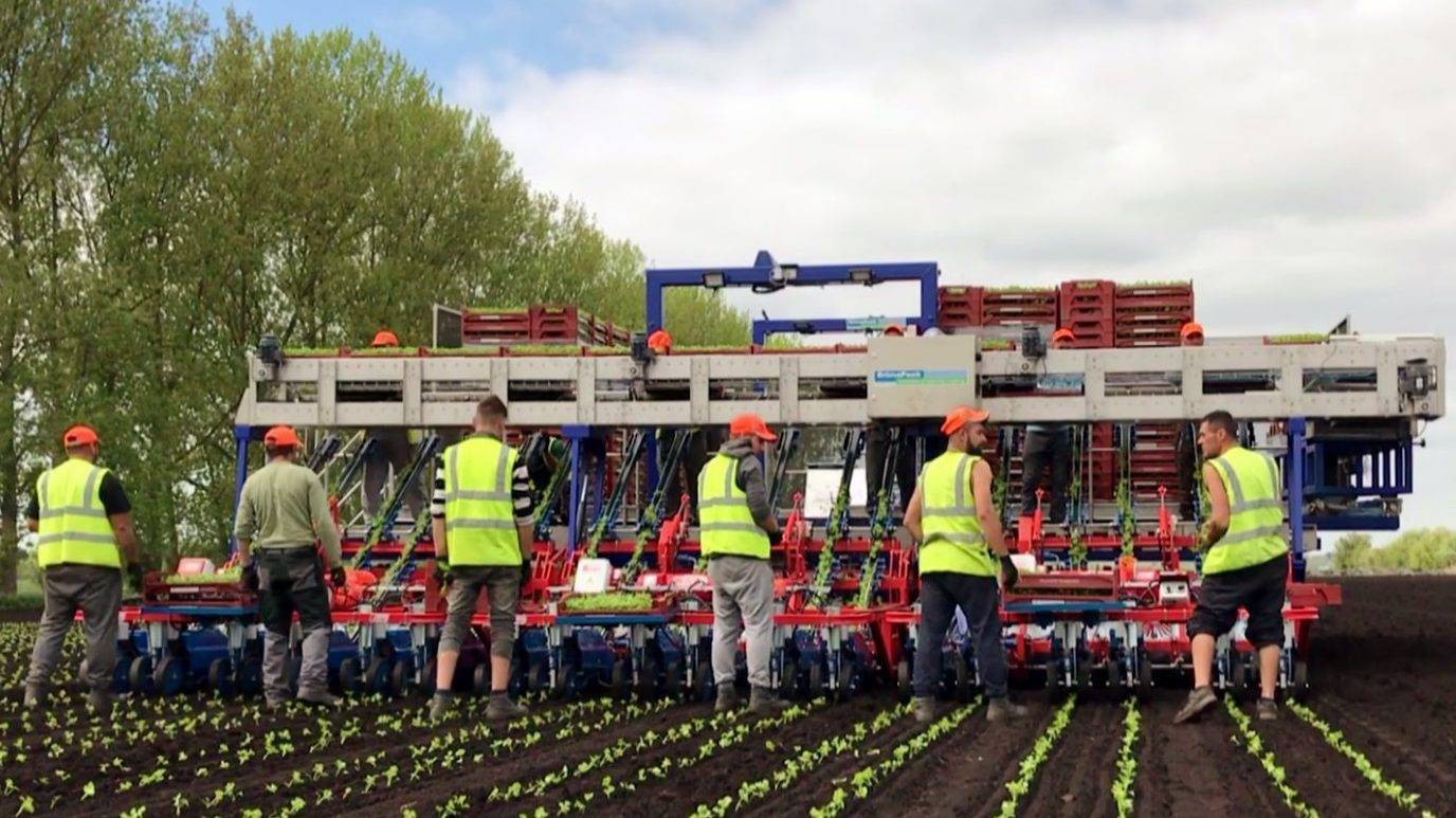 brima+2|brima+1|brima+3